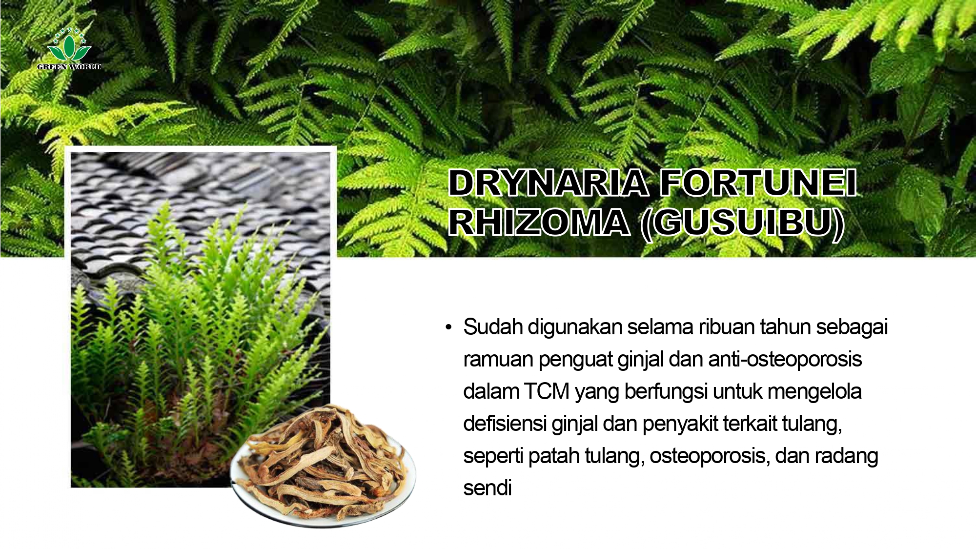 Education content image